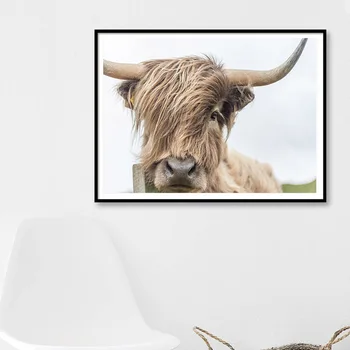 Настенная живопись на холсте с изображением высокогорных коров, плакаты с животными и принты, настенные панно в скандинавском стиле для домашнего декора гостиной 2