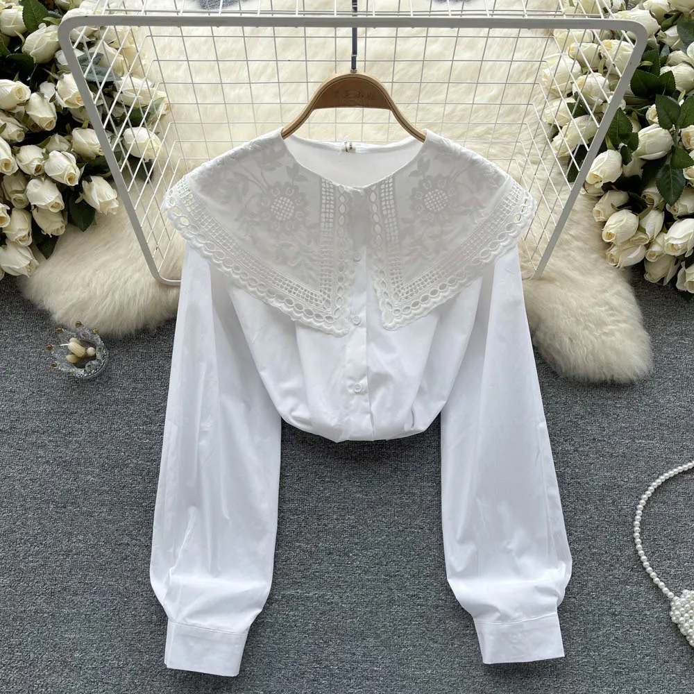 Корейская милая Темпераментная кружевная кукольная рубашка с воротником, Свободная однобортная рубашка с баской с длинными рукавами Изображение 4